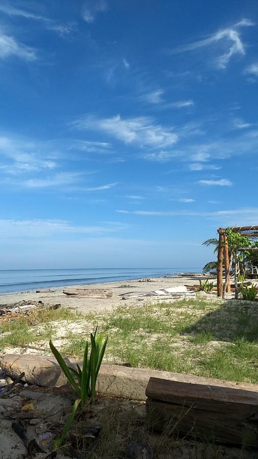 Urantia Beach Hostel & Camping San Onofre Exteriör bild