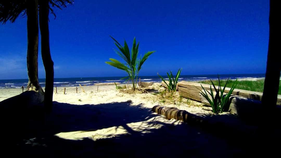 Urantia Beach Hostel & Camping San Onofre Exteriör bild